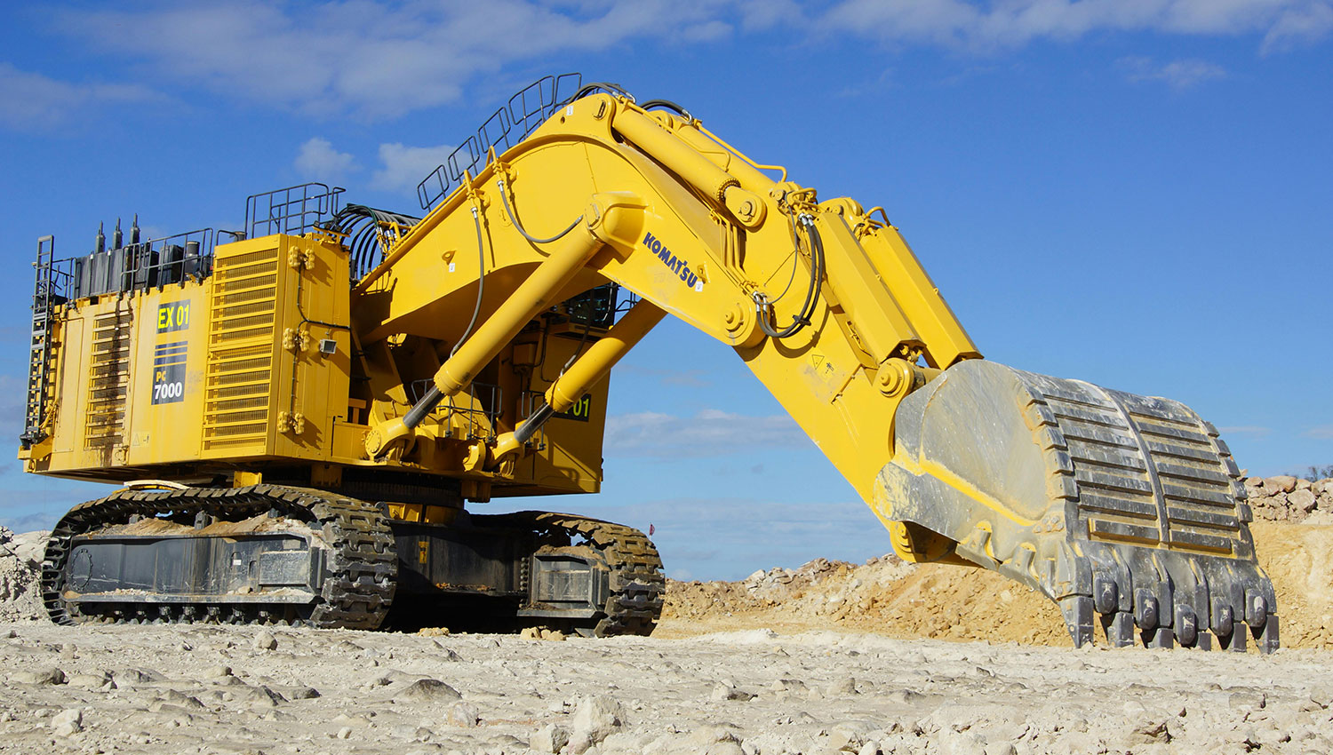 Aenean nec turpis tortor